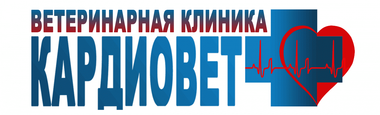 Кардиовет. Кардиовет клиника. Клиника кардиовет Ростов на Дону. Ветклиника кардиовет Ростов на Дону на Ленина. Энимал клиник Ростов на Дону.